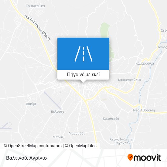 Βαλτινού χάρτης