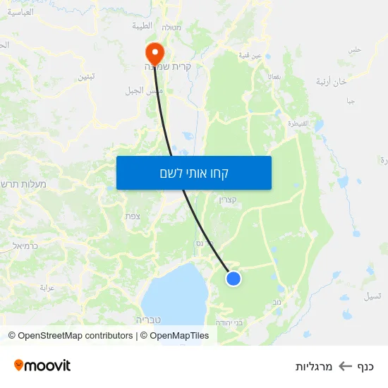 מפת כנף למרגליות