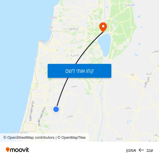 מפת ענב לאמנון