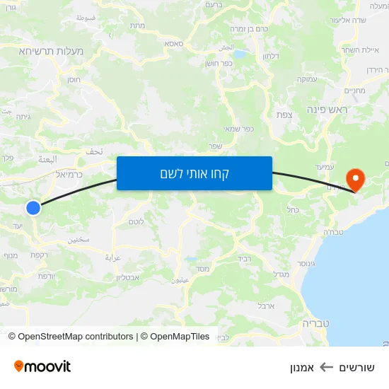 מפת שורשים לאמנון
