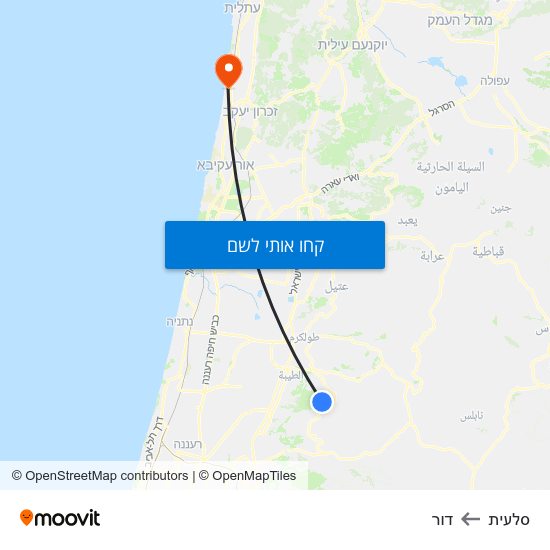 מפת סלעית לדור