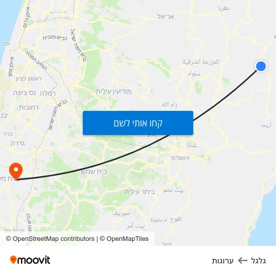 מפת גלגל לערוגות