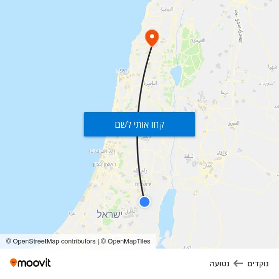 מפת נוקדים לנטועה