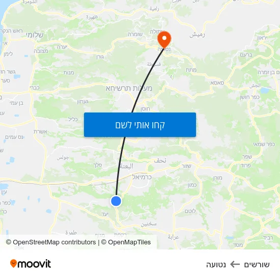 מפת שורשים לנטועה