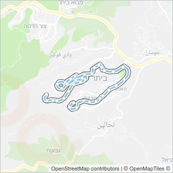 3 Bus Line Map