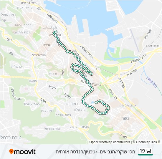 19 Bus Line Map