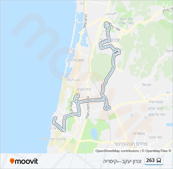 263 Bus Line Map