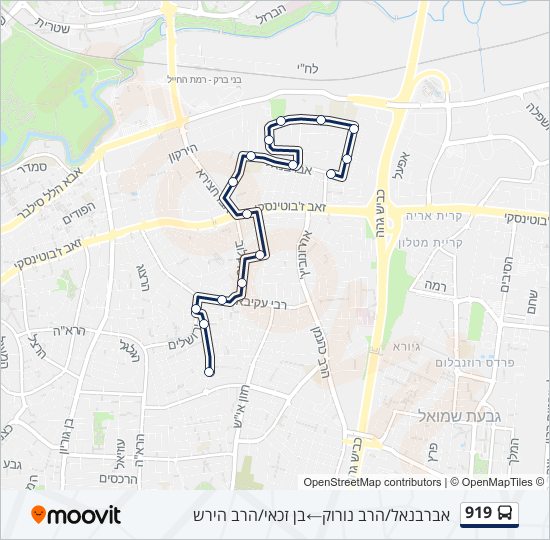 Автобус 919: карта маршрута