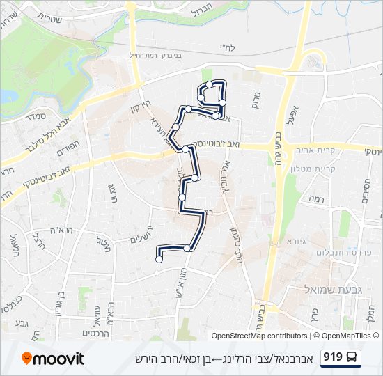 919 Bus Line Map