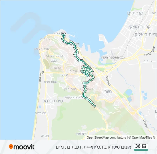 36 Bus Line Map