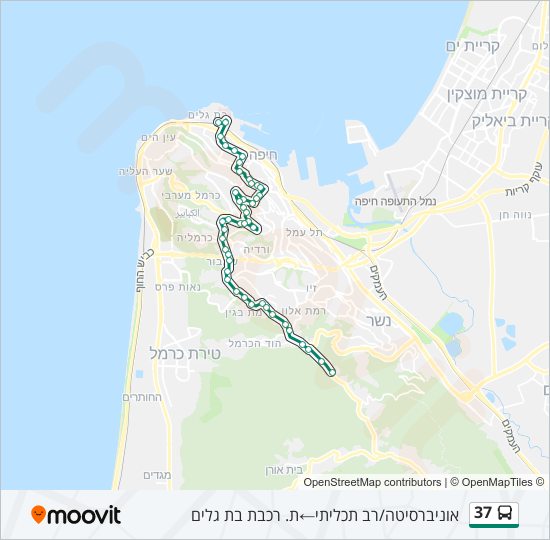 Автобус 37: карта маршрута