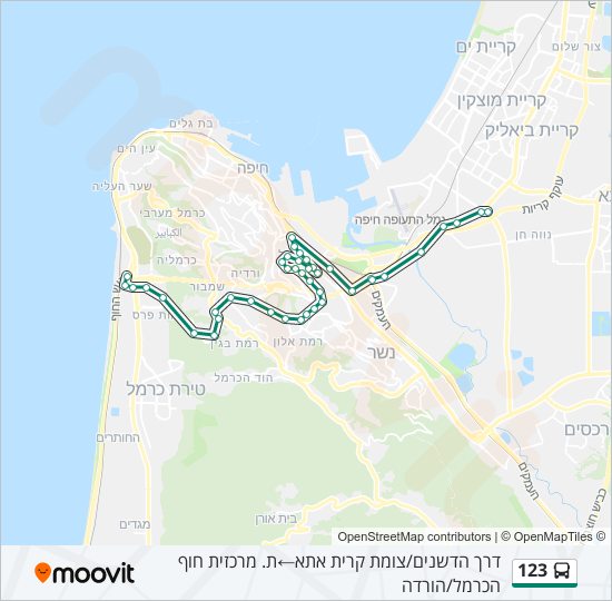 Автобус 123: карта маршрута