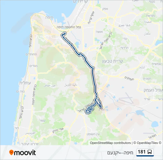 181 Bus Line Map