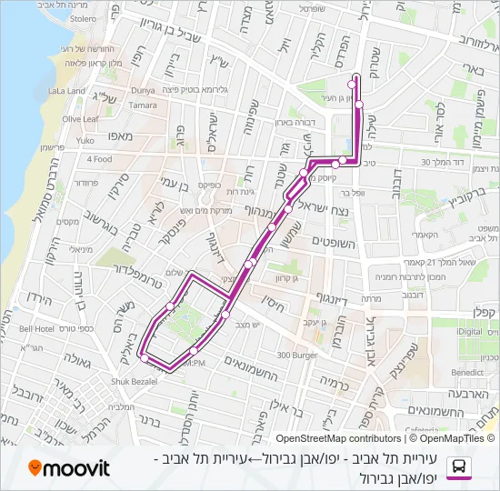 Автобус 99 המלך ג'ורג' אקספרס: карта маршрута