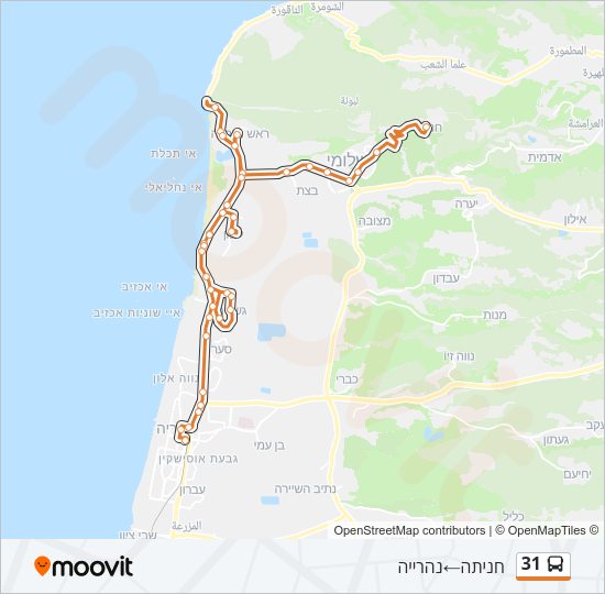 31 Bus Line Map