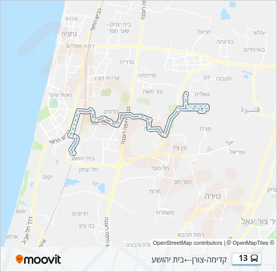 13 ♿ Bus Line Map