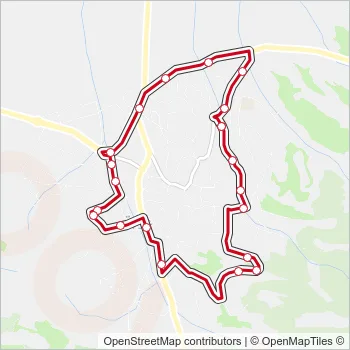7 Bus Line Map