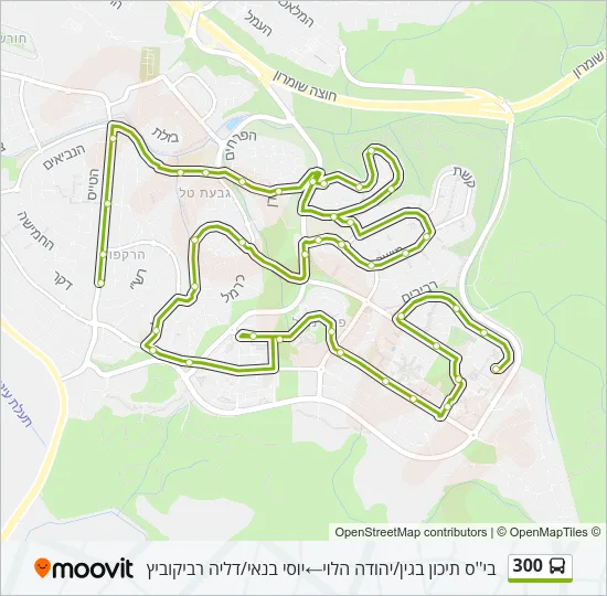 300 Bus Line Map