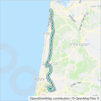 202 Bus Line Map