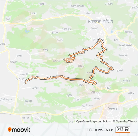 313 Bus Line Map