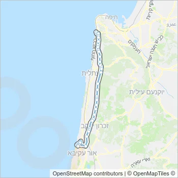 768 Bus Line Map