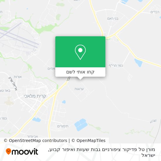 מפת מורן טל פדיקור ציפורניים גבות שעוות ואיפור קבוע