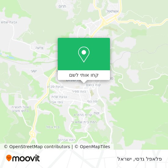 מפת פלאפל גדסי