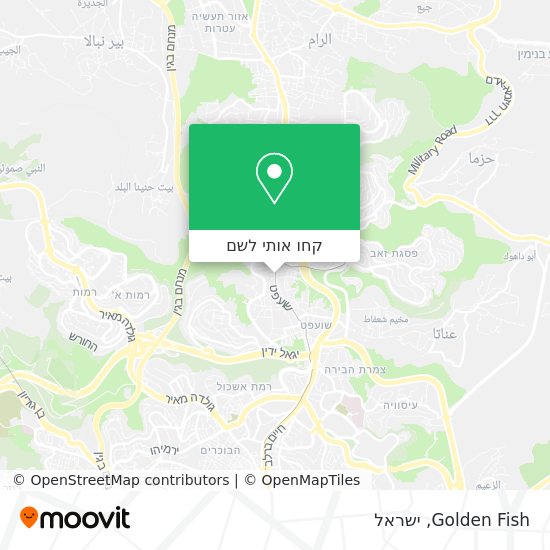 מפת Golden Fish
