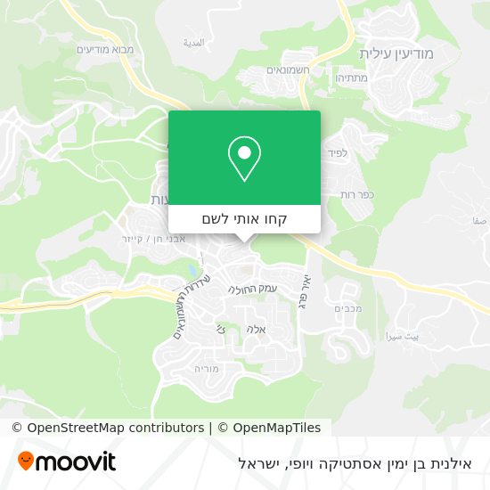 מפת אילנית בן ימין אסתטיקה ויופי