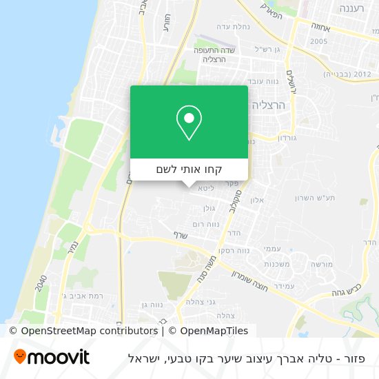 מפת פזור - טליה אברך עיצוב שיער בקו טבעי