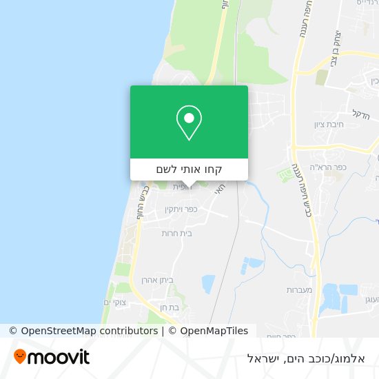 מפת אלמוג/כוכב הים