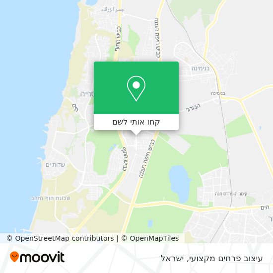 מפת עיצוב פרחים מקצועי