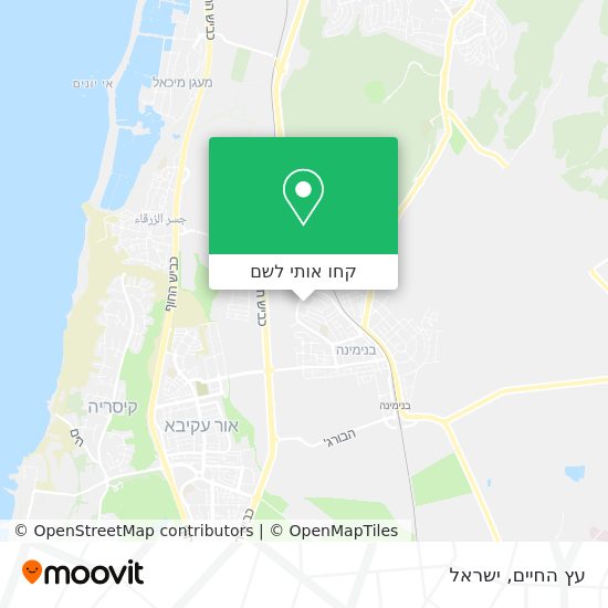 מפת עץ החיים