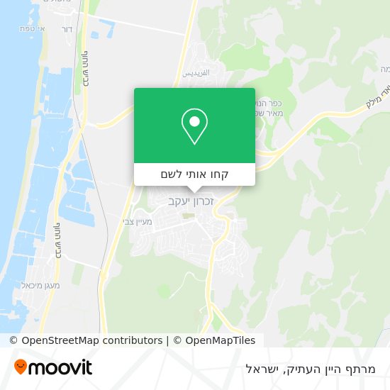 מפת מרתף היין העתיק