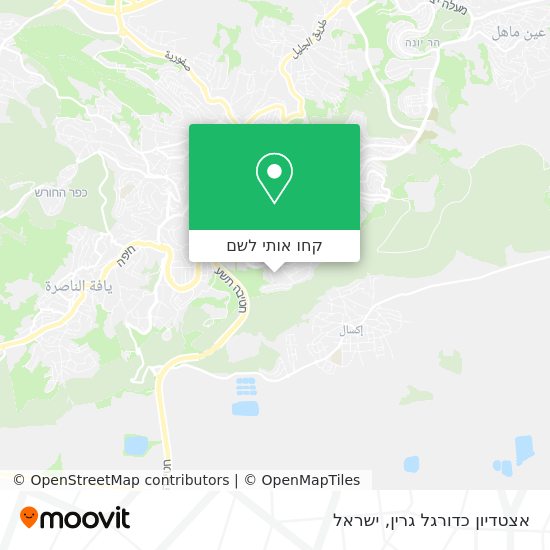 מפת אצטדיון כדורגל גרין