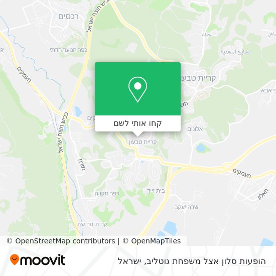 מפת הופעות סלון אצל משפחת גוטליב