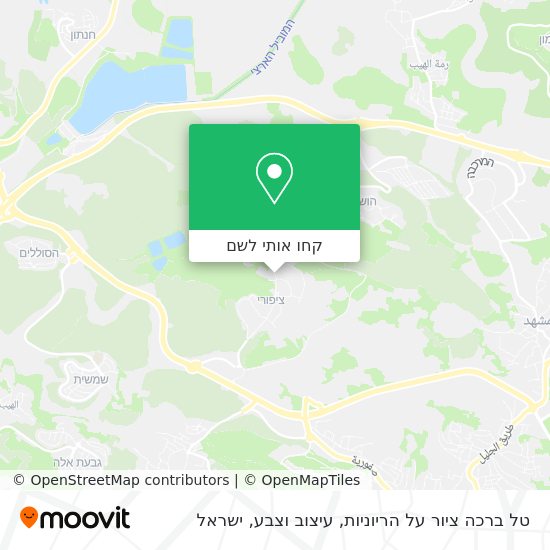 מפת טל ברכה ציור על הריוניות, עיצוב וצבע