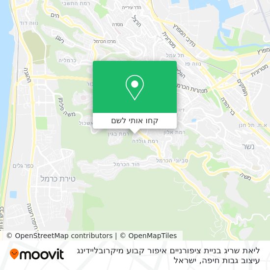 מפת ליאת שריג בניית ציפורניים איפור קבוע מיקרובליידינג עיצוב גבות חיפה