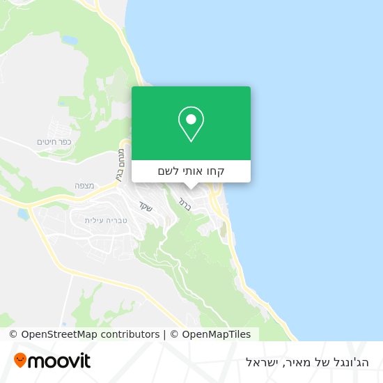 מפת הג'ונגל של מאיר
