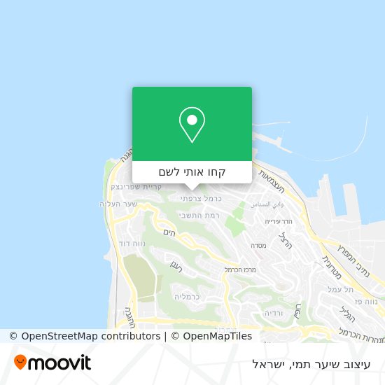 מפת עיצוב שיער תמי