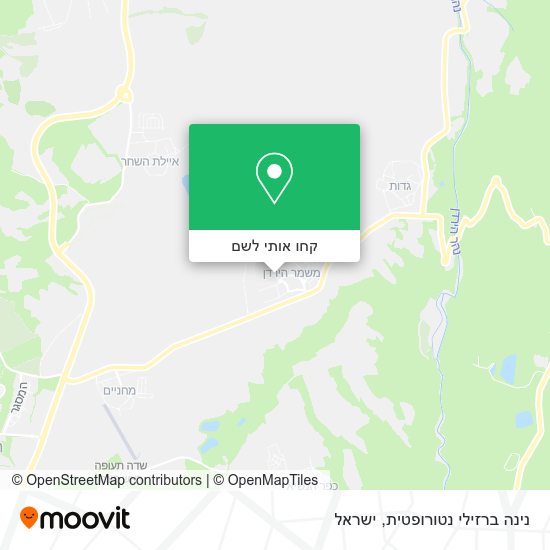 מפת נינה ברזילי נטורופטית
