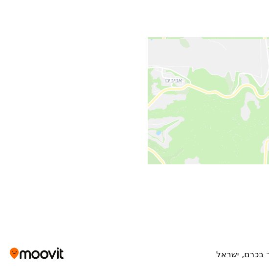 מפת אור בכרם