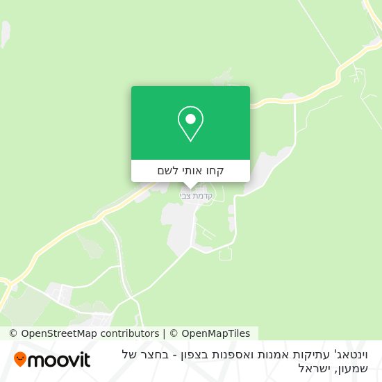 מפת וינטאג' עתיקות אמנות ואספנות בצפון - בחצר של שמעון