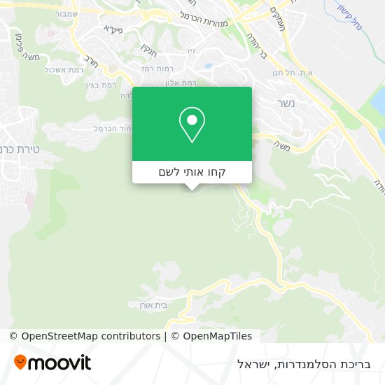 מפת בריכת הסלמנדרות