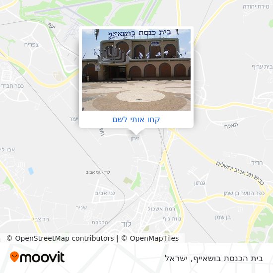 מפת בית הכנסת בושאייף