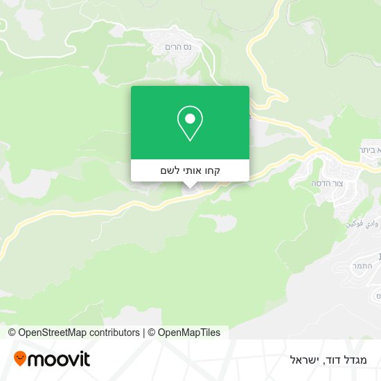מפת מגדל דוד