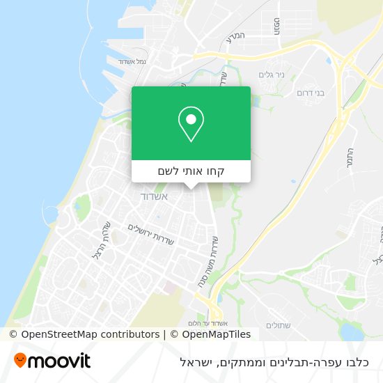 מפת כלבו עפרה-תבלינים וממתקים