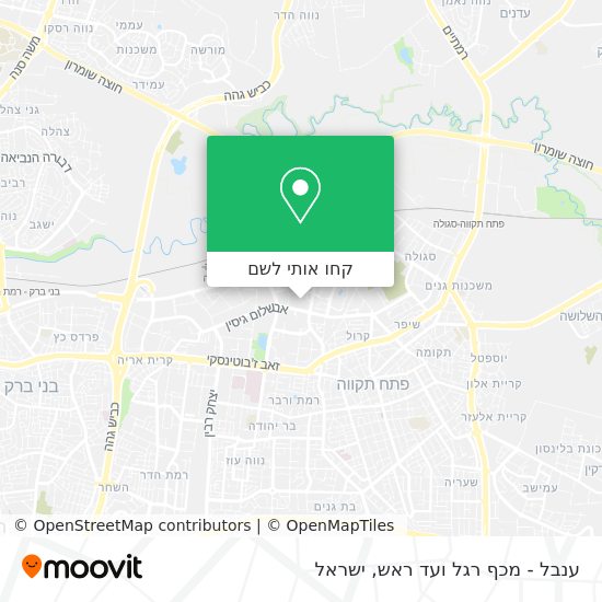 מפת ענבל - מכף רגל ועד ראש