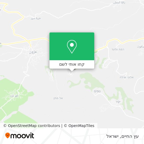 מפת עץ החיים