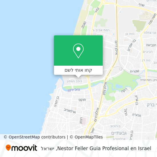 מפת Nestor Feller Guia Profesional en Israel